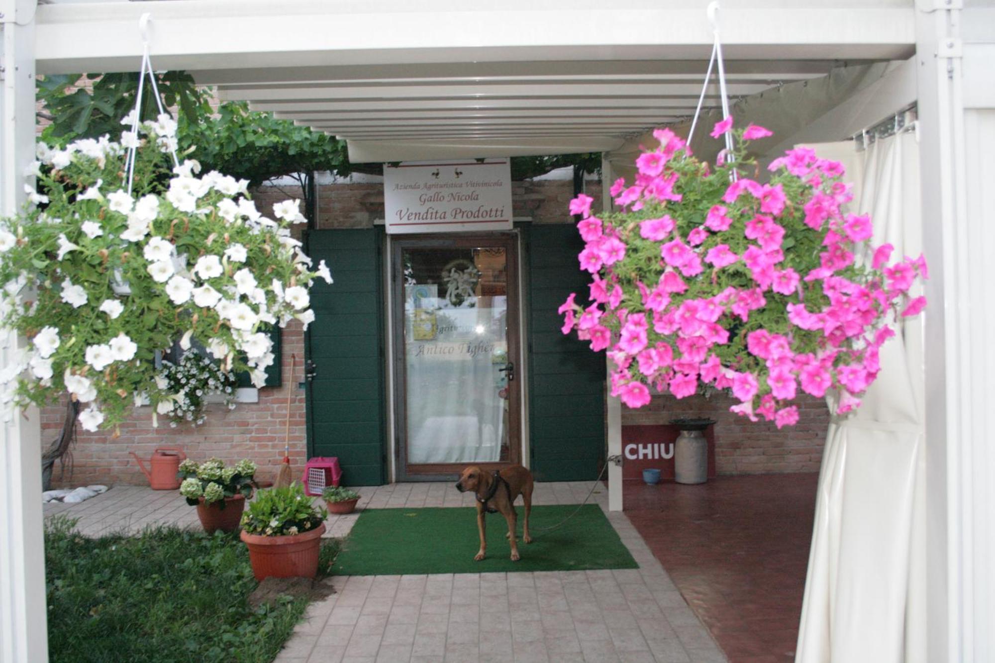 Locanda Antico Figher Villa Musile di Piave Luaran gambar